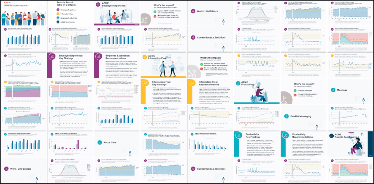 A sample of slides from ACME's remote analysis demo deck